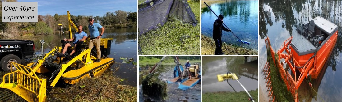 lake-weed-removal-image
